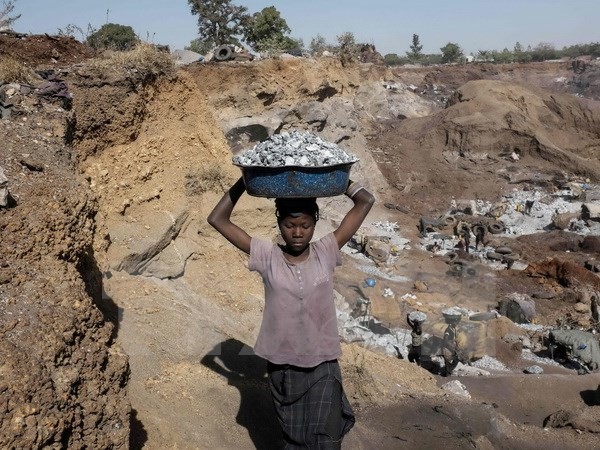 Vietnam unterstützt die ILO-Initiative zur Beseitigung von Armut und Hunger - ảnh 1